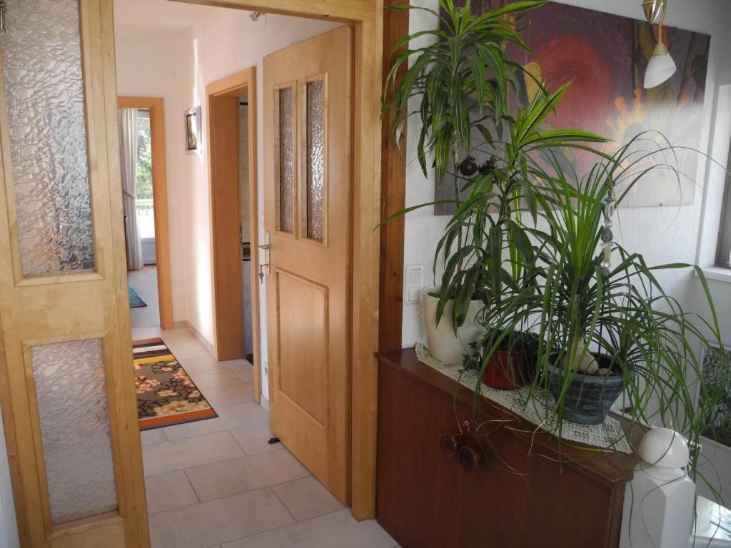 Haus Herzog Matrei in Osttirol Eksteriør billede